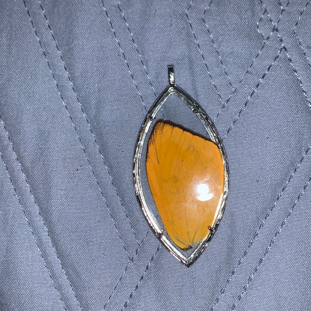Genuine butterfly wing pendant!🦋